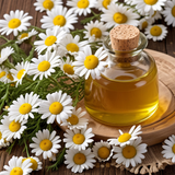 Chamomile Essential Oil Aromatherapy Reed Diffuser