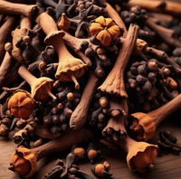 Clove Essential Oil Aromatherapy Reed Diffuser